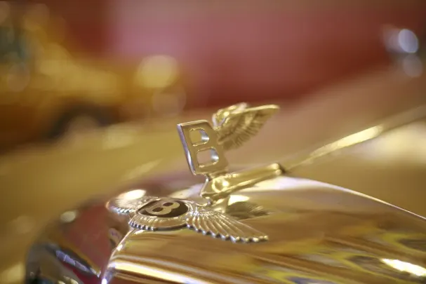 Bet Winner Casino Android/iOS App